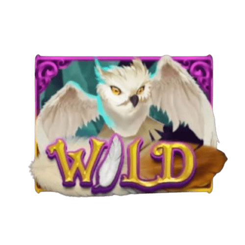 Enchanted_Forest_Wild_สีชมพู-removebg-preview