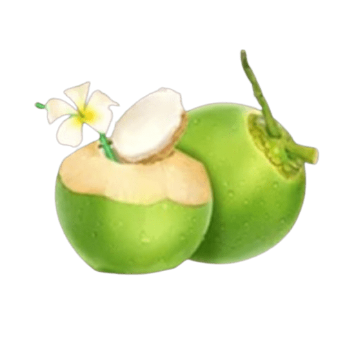 Tropical_Crush_มะพร้าว