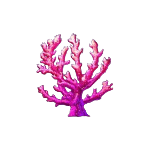 Mermaid_Treasure_ปะการัง