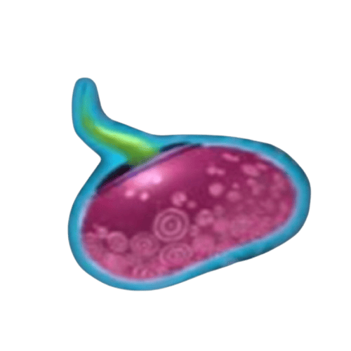 Beanstalk_Free_Game