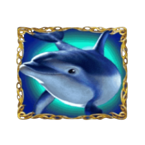 Dolphin_s_Pearl_Deluxe_Wild