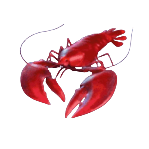 Dolphin_s_Pearl_Deluxe_กุ้งล็อปสเตอร์