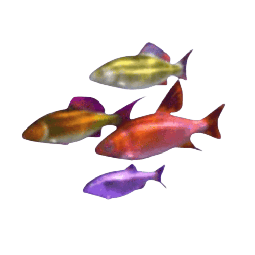Dolphin_s_Pearl_Deluxe_ปลาเล็ก